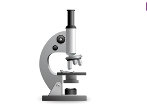 SKYLINE TRADING CO LTD